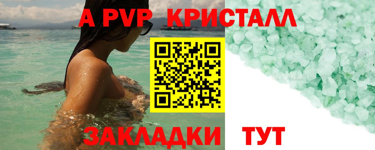 Alfa_PVP СК КРИС Новочеркасск